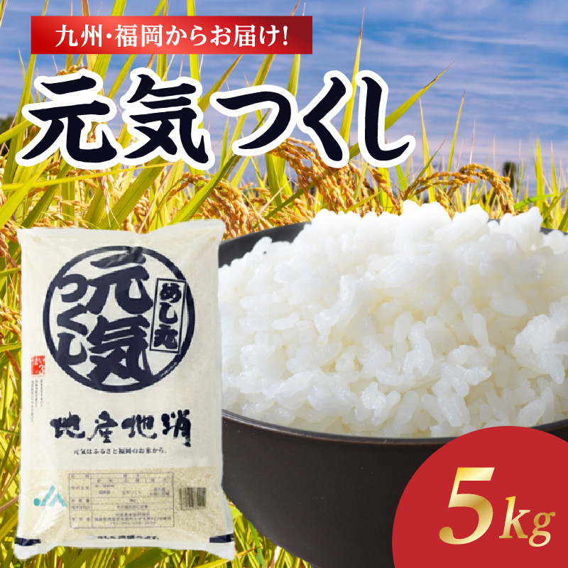 072-333 九州・福岡からお届け！ブランド米「元気つくし」5kg×1袋