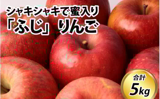【先行予約】りんご 5kg【2025年11月中旬以降順次発送】エコファーマー認定 | 林檎 リンゴ 果物 フルーツ 甘い ふじ 蜜入り 5kg 5キロ