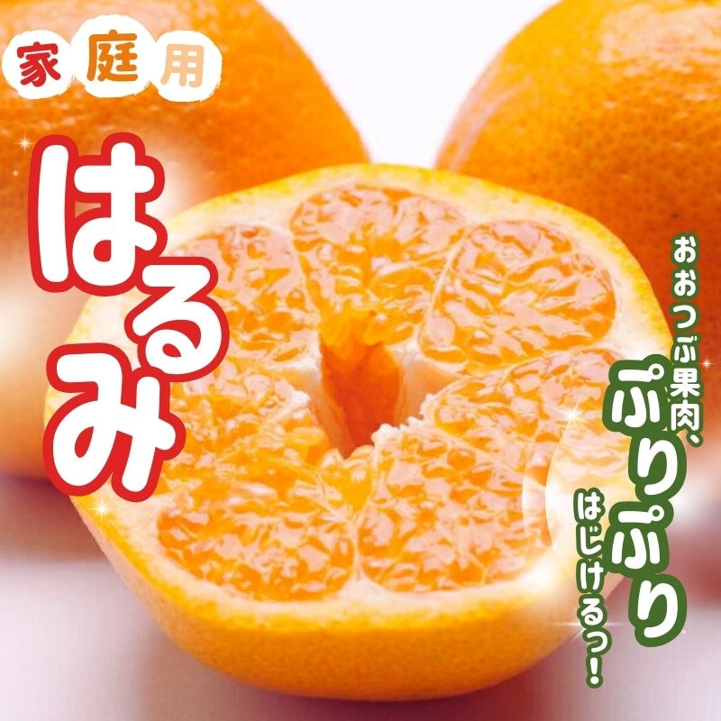 【ふるさと納税】＜先行予約＞ 家庭用はるみ 【選べる容量】1kg 2.5kg 5kg 7.5kg 10kg【デコポンの姉妹品種・新食感春みかん】【光センサー選別】【わけあり・訳あり】 ＜2026年2月上旬～3月下旬ごろに順次発送＞ / みかん ミカン 柑橘 果実 果物 フルーツ オレンジ デコポン