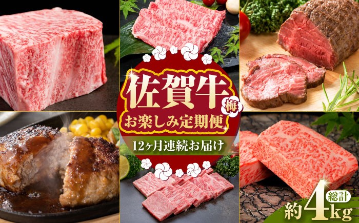 
【全12回定期便】毎月お届け！佐賀牛 お楽しみ定期＜梅＞【Trade com 8】 [HBO004]
