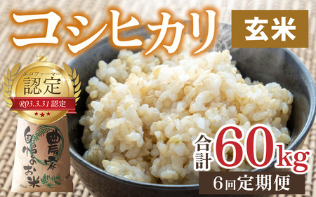 【令和7年産】【6ヶ月定期便】越前大野産 エコファーマー認定農家栽培 こしひかり 玄米 10kg × 6回 計60kg [L-001001_02]
