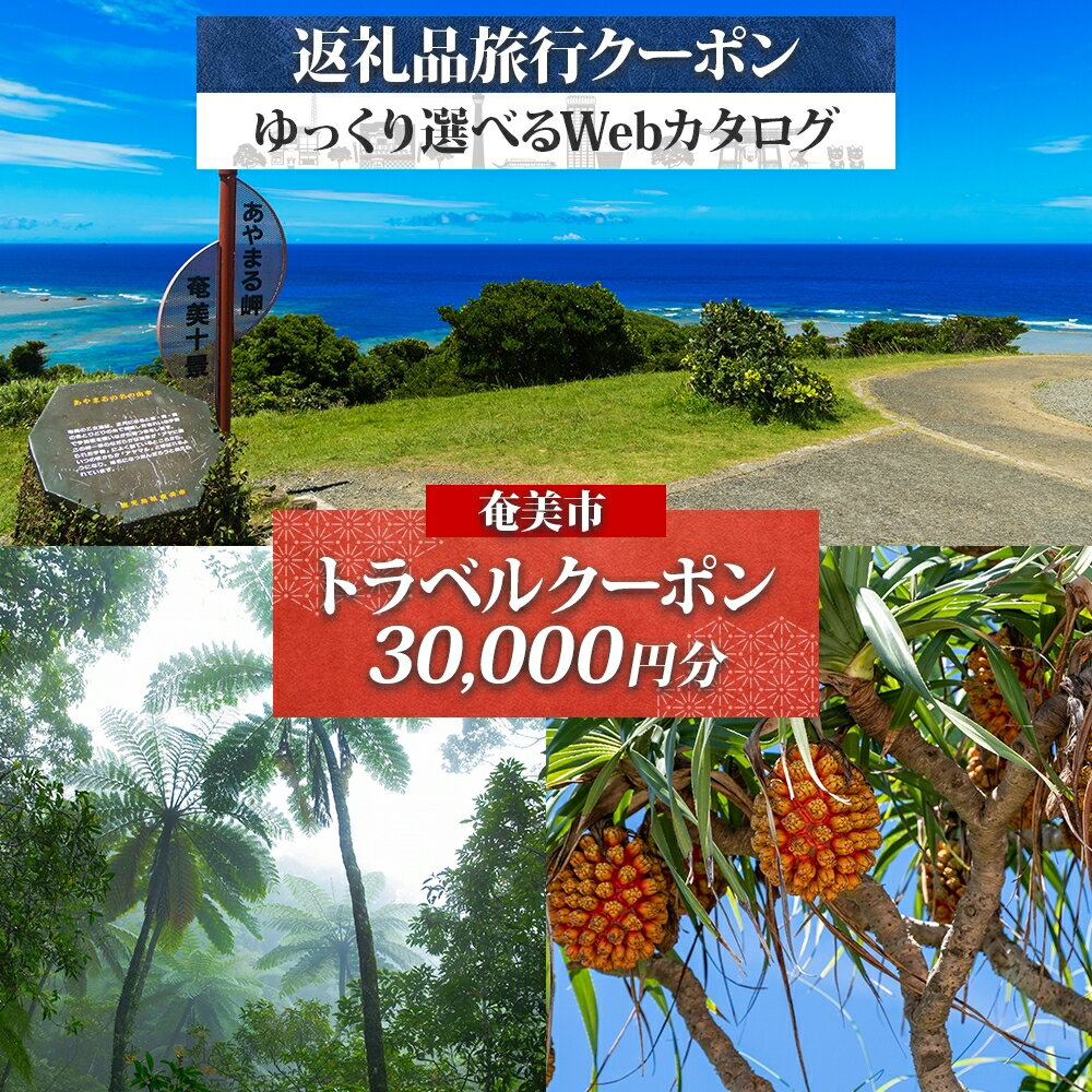 【ふるさと納税】＜選べる＞ 鹿児島県 奄美市 の 対象施設で使える JTA 旅行クーポン 海 自然 南国 島 離島 絶景 観光 旅行 ホテル 旅館 老舗 高級 トラベル チケット 家族 カップル 宿泊 予約 おすすめ 父の日 母の日 券 北国からの贈り物 ランキング プレゼント ギフト