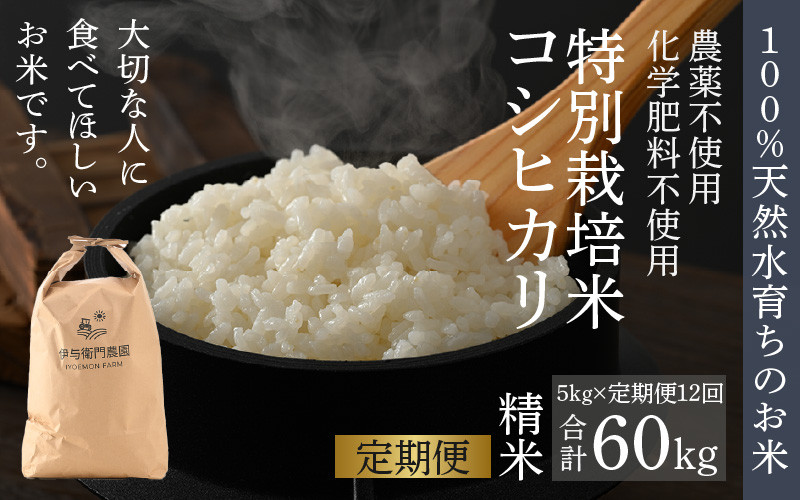 
            【先行予約】【令和7年産 新米】《定期便12回》伊与衛門農園のコシヒカリ 精米 5kg （計60kg）特別栽培米 化学肥料不使用 ＜温度と湿度を常時管理し新鮮米を出荷！＞／ 高品質 鮮度抜群 福井県あわら産 ブランド米 白米 お米 ※2025年10月上旬より順次発送予定 [aw071-m001]
          