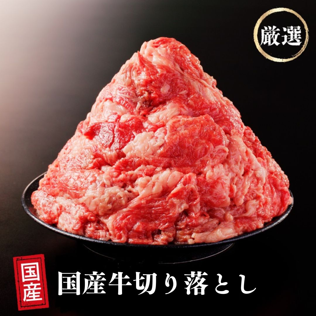 【ふるさと納税】 国産 牛肉 切り落とし 400g ～ 800g 小分け (200g×2 ～ 200g×4) 冷凍 真空 パック 小間切れ 牛丼 カレー 便利 お取り寄せ グルメ 食品 すき焼き しゃぶしゃぶ 鍋 焼肉 鉄板焼 おすすめ ギフト プレゼント 山口精肉店