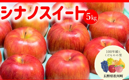 AS03 りんご シナノスイート（松川町産）秀品 約5kg ／2026年10月中旬～10月下旬頃 配送予定 // 長野県 南信州 松川町 贈答 りんご リンゴ 林檎 シナノスイート