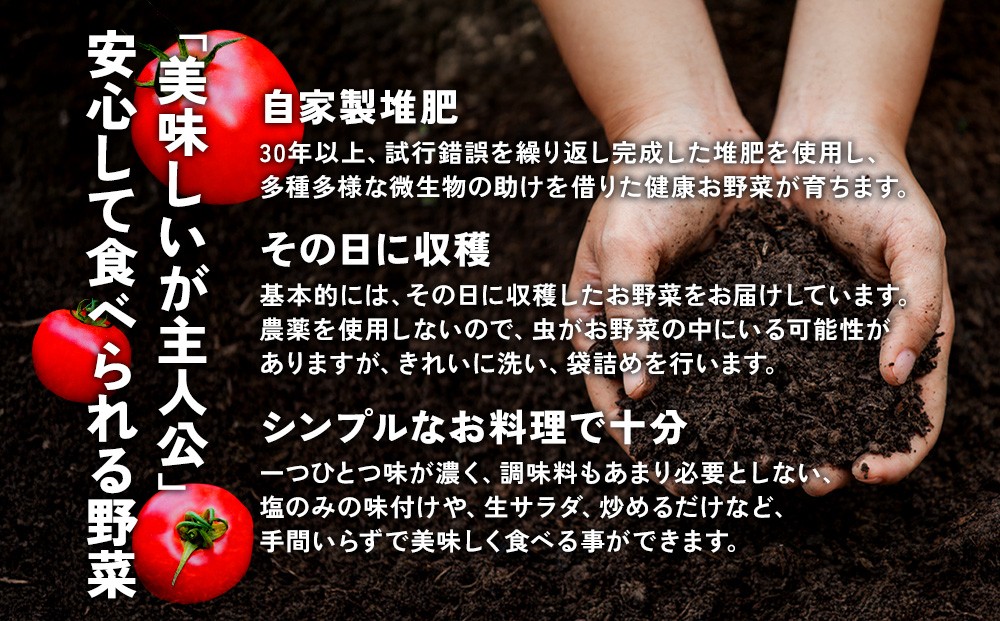 特別栽培季節のお野菜セット 8品