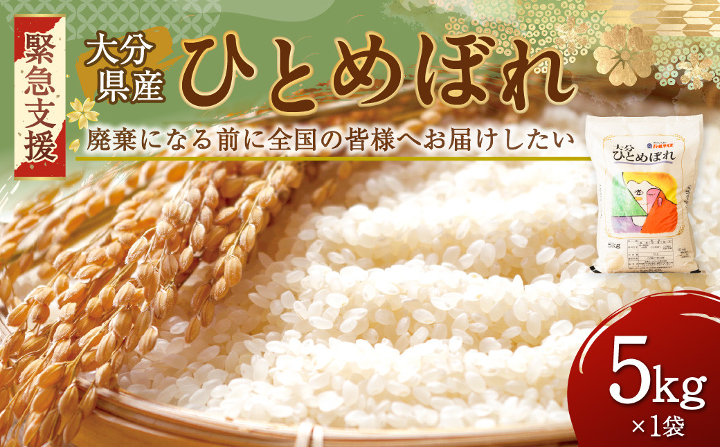 大分県産 ひとめぼれ 5kg 米 精米