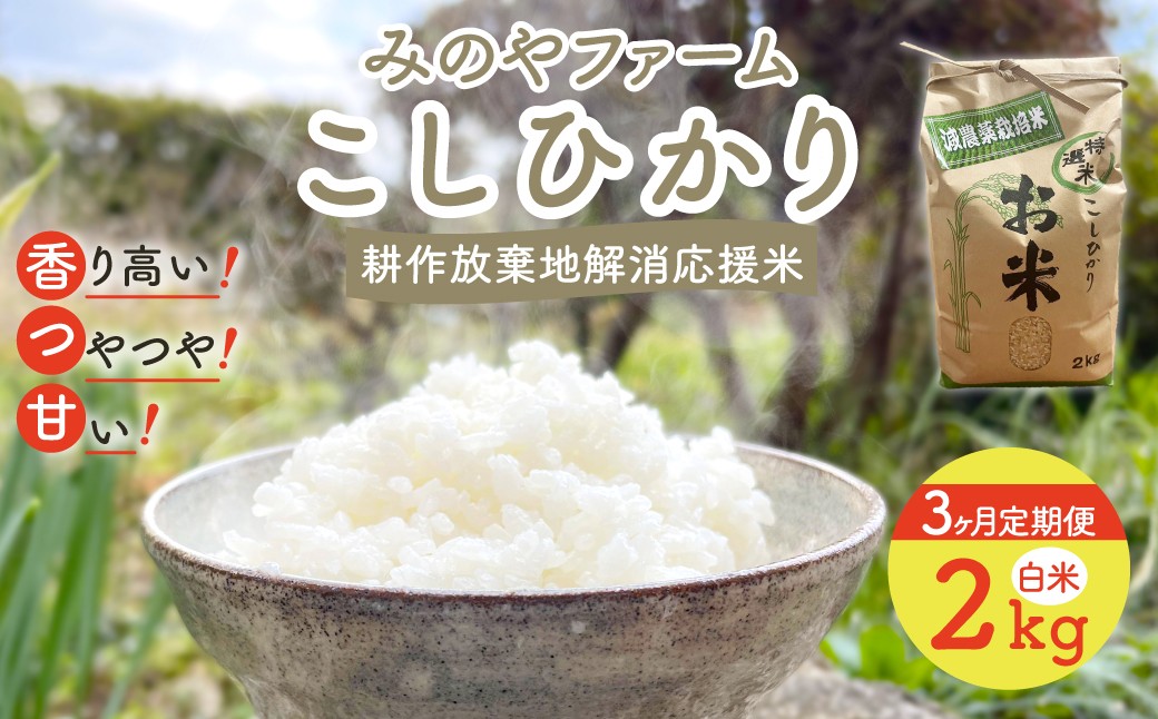 
                  【3ヶ月定期便】令和８年産新米  こしひかり 2ｋｇ（白米） みのやファームの耕作放棄地解消応援米 【 コシヒカリ こしひかり おいしいお米 自然栽培 贈り物 ギフト 千葉県 御宿町 人気 おすすめ ランキング 】 ONJF007
                