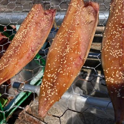 ふるさと納税 伊東市 【毎月定期便】 北欧さば醤油干し　天日干しひもの詰め合わせ(200g×5枚)全12回 |  | 01