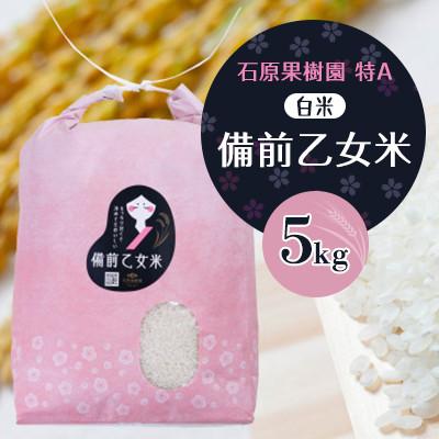 ふるさと納税 高梁市 【石原果樹園】令和8年産　備前乙女米　白米5Kg×1袋(BOH05-1)