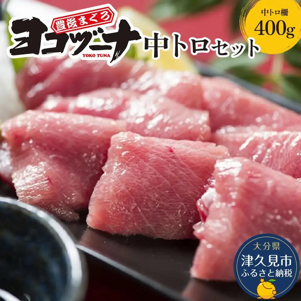 本マグロ ヨコヅーナ 刺身用中トロ 400g | 本マグロ