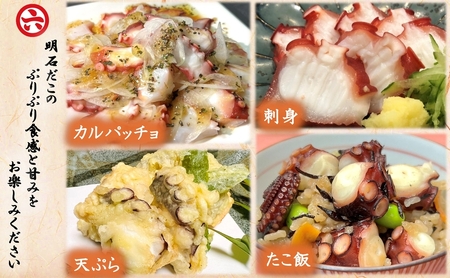 【明石産】ほんまにうまい！釜あげ明石だこ大１尾・たこ唐揚げ大セット〈本場の味〉