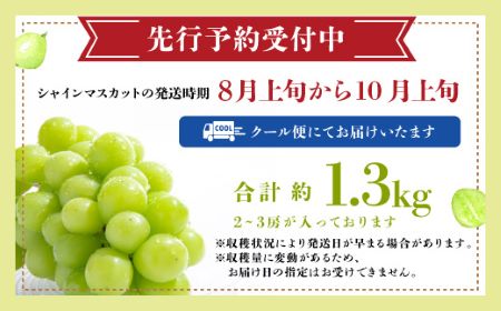 【先行予約】 【2025年8月上旬以降発送】 佐賀県産 シャインマスカット (約1.3kg) B-658