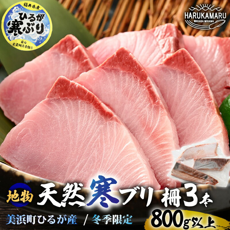 【ふるさと納税】【先行予約】天然！地物！ひるがの寒ぶり 柵3本【合計800g以上】【2026年1月中旬以降順次発送予定】【ブランド 寒ブリ 寒鰤 かんぶり ぶり ブリ 鰤 ブリトロ ぶりとろ 新鮮 生食 刺身 海鮮丼 ぶりしゃぶ 日向 福井 冬の味覚 海鮮 冷凍 プレゼント】
