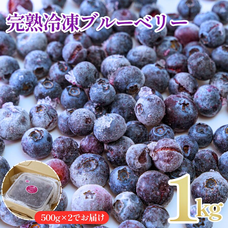 【ふるさと納税】冷凍ブルーベリー1kg 500g×2パック ブルーベリー 完熟 急速 冷凍 新鮮 冷凍ブルーベリー 冷凍 果物 フルーツ 美容 スムージー ジャム 保存 冷凍保存 小分け