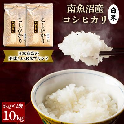 ふるさと納税 南魚沼市 【令和7年産 新米】南魚沼産コシヒカリ(白米)【10kg(5kg×2袋)】