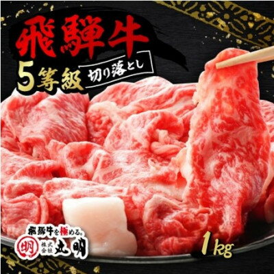 【ふるさと納税】飛騨牛5等級　切り落とし用途いろいろ　1kg【配送不可地域：離島】【1668213】