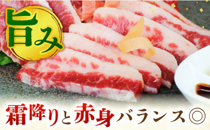 霜降り馬刺し300ｇ（ブロック）【山鹿市（桜屋）】 [ZBO075]