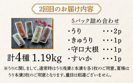 【交互にお届け！全2回定期便】奈良漬クリームチーズ 4種 × 奈良漬「琥珀神(こはくかんさ)」4種 1.19kg《築上町》【奈良漬さろん安部 / SALON DE AMBRE】奈良漬 奈良漬け チーズ
