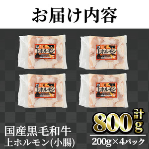 【鮮度抜群！】国産黒毛和牛小腸（上ホルモン計800g） ホルモン 焼肉 黒毛和牛【カミチク】A827