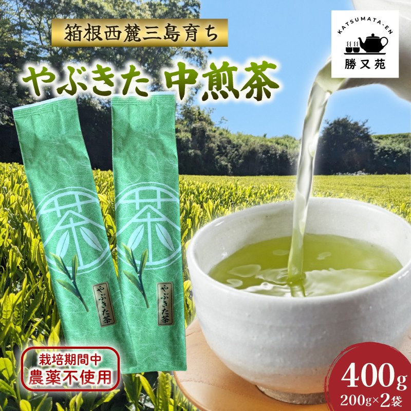 
                  緑茶 やぶきた 中煎茶 400g (200g×2袋) 国産 栽培期間中 農薬不使用 煎茶 日本茶 茶葉 お茶 セット 静岡産 贈答 プレゼント ギフト 箱根西麓 勝又苑 静岡県 三島市
                
