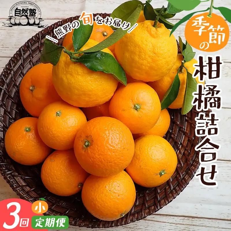 ⑦自然塾　季節の柑橘詰合せ　小【定期便３回】【szjk-tkb0005】