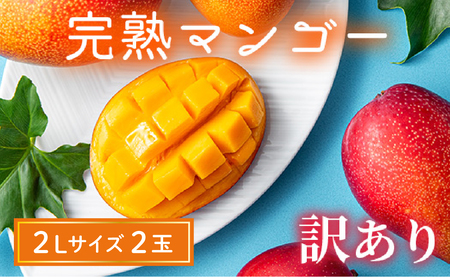 【訳あり】完熟マンゴー 2L×2玉（パック）濃厚 宮崎 果物 フルーツ 贈答 ギフト 甘い 先行受付 送料無料【JA綾町】_A0114-1101