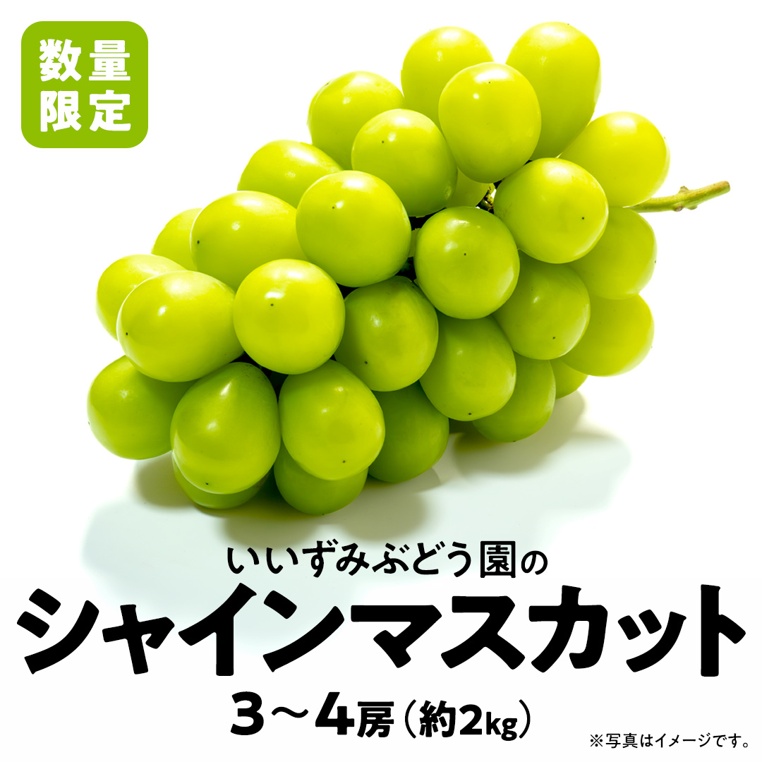 【 先行予約 ・ 数量/期間限定 】 シャインマスカット 3～4房（約2kg ） ブドウ ぶどう マスカット 種なし 皮ごと フルーツ 果物 くだもの 産直 新鮮 採れたて [CQ05-NT]_イメー