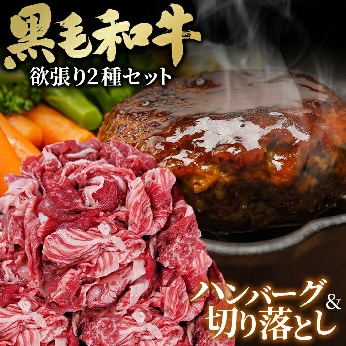 【ふるさと納税】黒毛和牛欲張りセット 切り落とし 250g ハンバーグ 120g 8個［No.433］