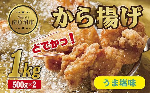 
ES247 どでか味付けから揚げ うま塩味 500g×2パック 計1kg 大容量 唐揚げ からあげ から揚げ しお 塩 揚げ物 冷凍 惣菜 簡単 調理 肉 おかず 味付き 野崎フーズ 新潟県 南魚沼市
