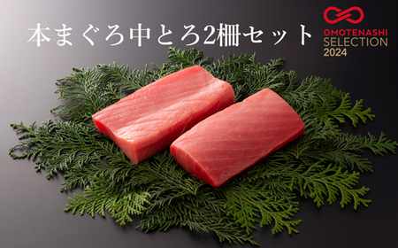 本まぐろ中とろ２柵セット
