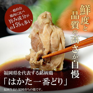 博多水炊き(はかた一番どり切り身・つみれ)セット 4～6人前 KBC1006
