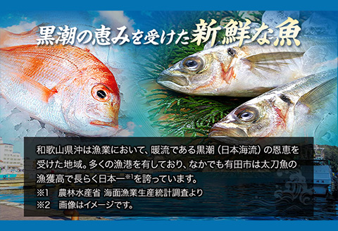 新鮮魚の鯛入り梅塩干物と湯浅醤油みりん干し7品種11尾入りの詰め合わせ（和歌山近海産の新鮮魚使用）《90日以内に出荷予定(土日祝除く)》---wsh_fgenhset7_90d_22_16000---
