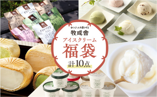 飛騨のミルクの旨味たっぷりアイスクリーム福袋 10点セット 味お任せ アイス アイスクリーム 国産 飛騨市 生乳 人気 おすすめ 冷凍 福袋 飛騨市 HIDAミルクプロジェクト 日時指定