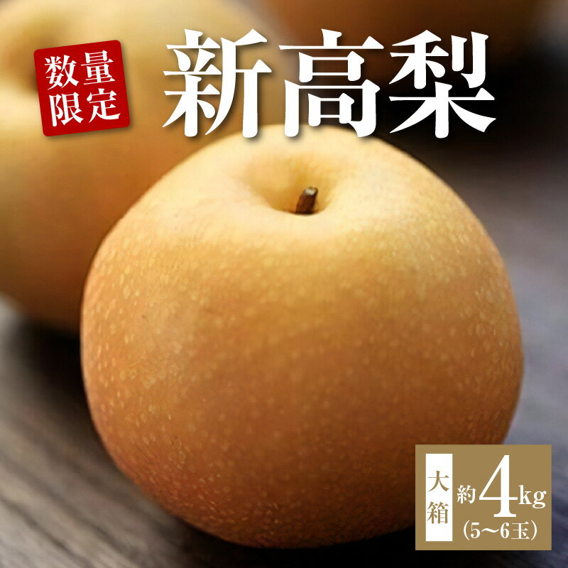 【ふるさと納税】梨 平和農園の新高梨 約4kg 大箱 5〜6玉入【先行予約】【2026年発送】[ 新高梨 高級梨 大玉 フルーツ 果物 甘い ジューシー 人気 ギフト ランキング 季節限定 贈答用 内祝い お歳暮 お取り寄せグルメ 産地直送 返礼品 送料無料 三豊市 平和農園 ]