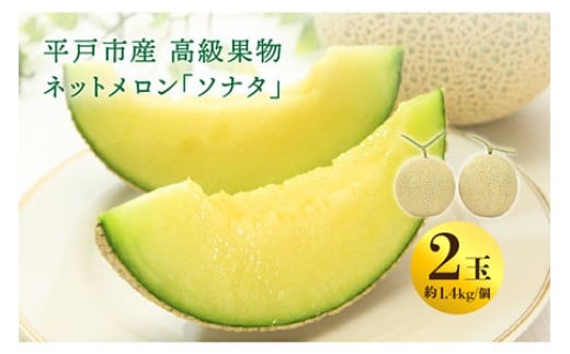 【12月上旬より順次お届け】＜先行予約＞【ていねいに育てた高級果物】平戸市産 ネットメロン「ソナタ」2玉（約1.4kg以上/玉） [KAB097_2312]メロン めろん 果物 フルーツ 甘い 旬 通販 お取り寄せ ギフト プレゼント 高級 みずみずしい