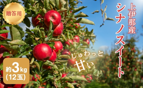 りんご 長野 贈答用 リンゴ シナノスイート 約3kg （12玉） 産地直送 ギフト プレゼント 贈答 贈答品 贈り物 フルーツ 果物 デザート 林檎 秋 旬 信州 長野県 長野県産
