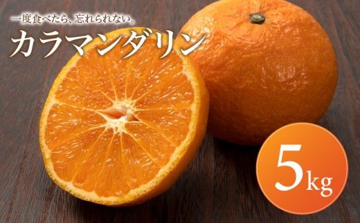 【2027年4月上旬頃から順次発送】カラマンダリン 家庭用 5kg | みかん 蜜柑 mikan 柑橘 果物 愛媛のみかん くだもの 贈答 フルーツ ご家庭用 数量限定 愛媛県産 ミカン 愛媛県 松山市
