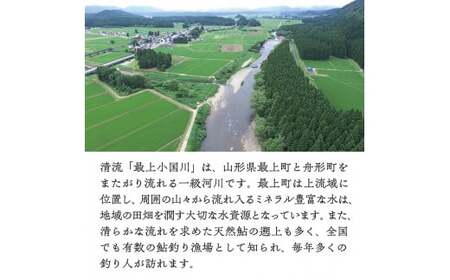 【最上町×舟形町共通返礼品】最上小国川　遊漁券（年券）【令和8年4月1日～令和9年3月31日】鮎釣り 全魚種