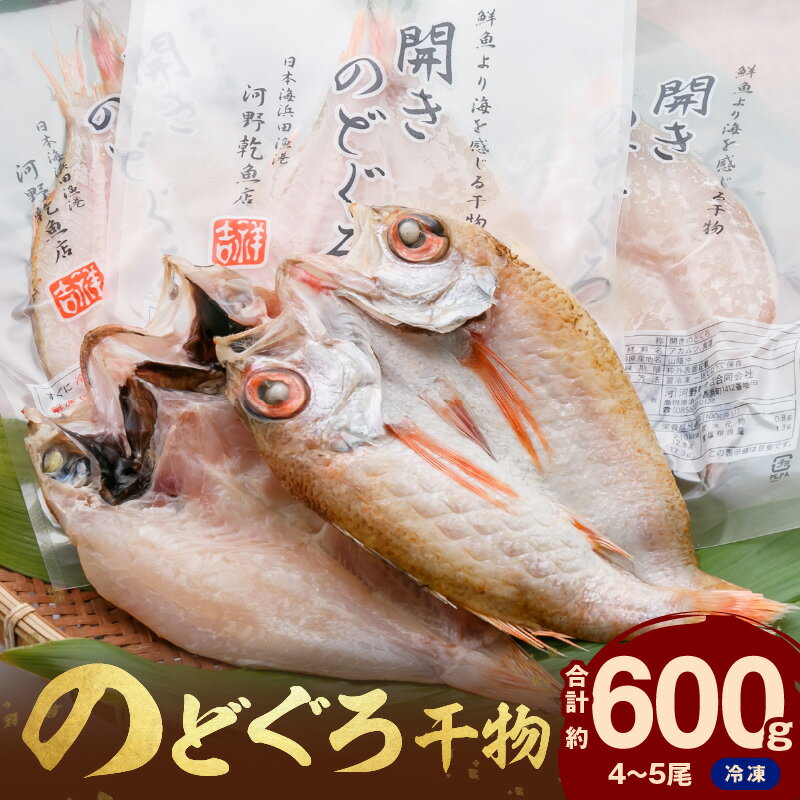 【ふるさと納税】【レビューCP対象】のどぐろ干物（4〜5枚 計600g 20〜22cm前後）浜田港目利き工場長厳選「のどぐろ」河野乾魚店 魚 干物 干もの 乾物 一夜干し のどぐろ セット 厳選 冷凍 個包装 産地直送 【019_0156】