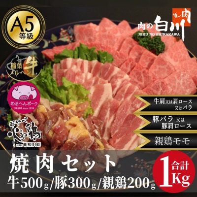 おやべのお肉焼肉セット1kg(和牛カルビ500g・豚300g・親鶏200g)【配送不可地域：離島・北海道・沖縄県・東北・中国・四国・九州】