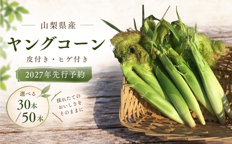 
                  【2027年発送】山梨県産 ヤングコーン 選べる 30本 / 50本入｜朝採れ もぎたて発送 ヒゲ付き 甘い 国産 とうもろこし トウモロコシ 野菜 産地直送 送料無料【炭香ファーム】　ヤングコーン
                
