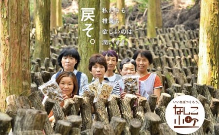 008-301 小町のよくばりセット （どんこ乾椎茸 45g×6パック 、スライス乾椎茸 30g×4パック 、なしこのなばこ 45g×1本） 