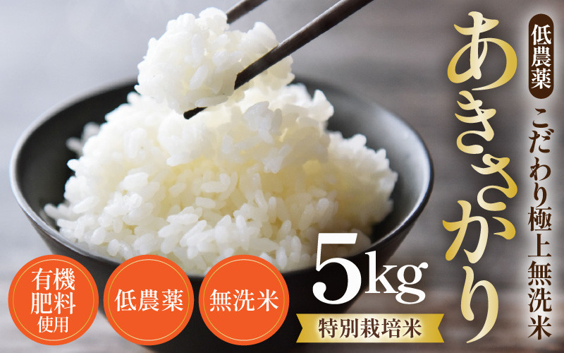 
                  【令和8年産】特別栽培米 あきさかり 5kg 無洗米 低農薬 《こだわり極上無洗米》 / 福井県 あわら 北陸 米 お米 人気 [aw032-a022]
                