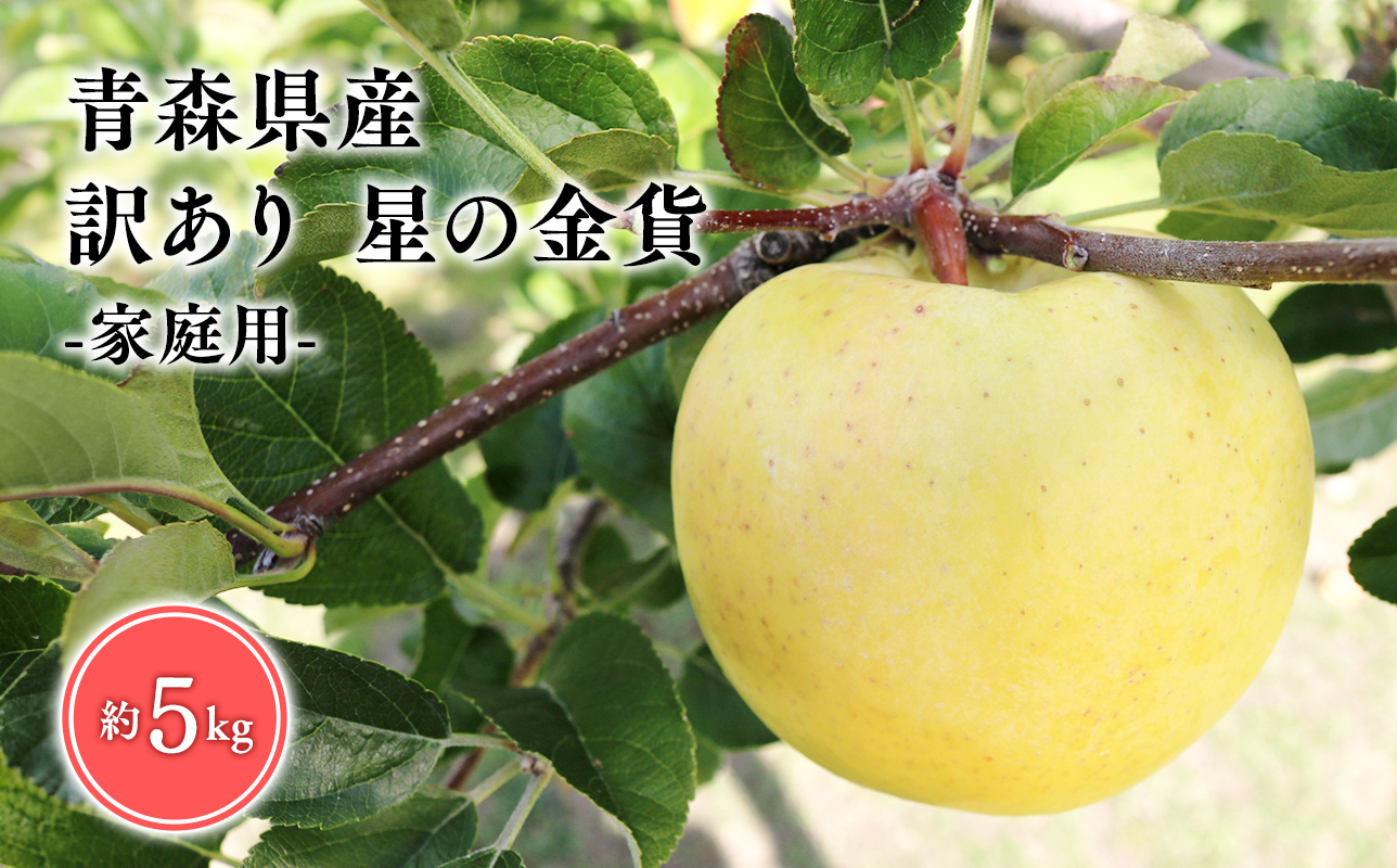 １１月発送　訳あり　家庭用　甚八りんご星の金貨5kg　【マルジンサンアップル　11月　青森県産　平川市　りんご　星の金貨　5kg　訳あり　家庭用】