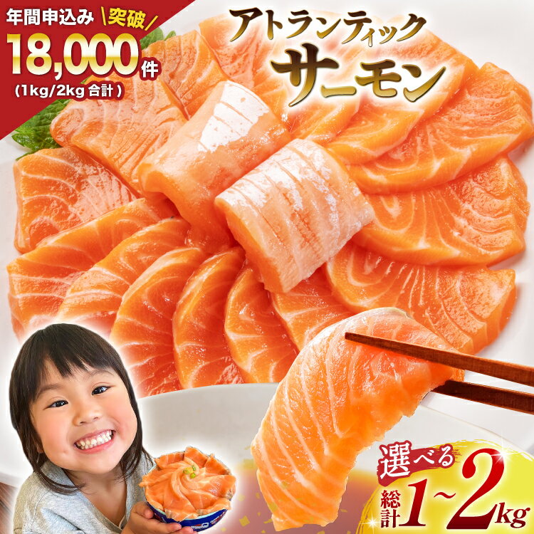 ★新登場★ノルウェー産 アトランティックサーモン 総重量800g（正味重量680g） / カネダイ / 宮城県 気仙沼市 [20561967] 魚 魚介類 サーモン 刺身 小分け 鮭 海鮮 生食用 真空パック さけ サケ 人気 食品