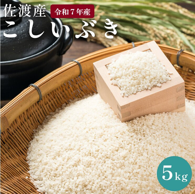 佐渡島産　こしいぶき　5kg　令和7年産