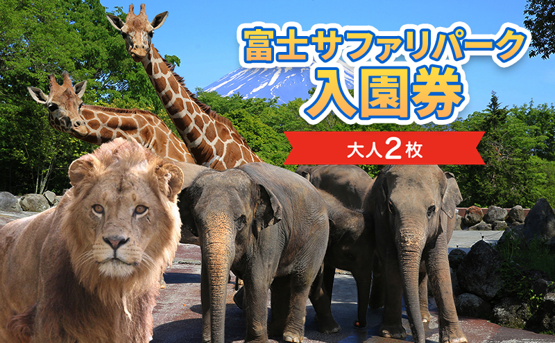 動物園 静岡 富士サファリパーク 大人 2枚 入場券 ペア ペア