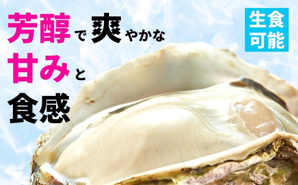 【海士のいわがき】海士町産 いわがき 岩牡蠣 LLサイズ 6個 殻付き 新鮮クリーミーな高級岩牡蠣 冷凍 生食 牡蠣ナイフ 説明書付き 2.4kg〜3kg