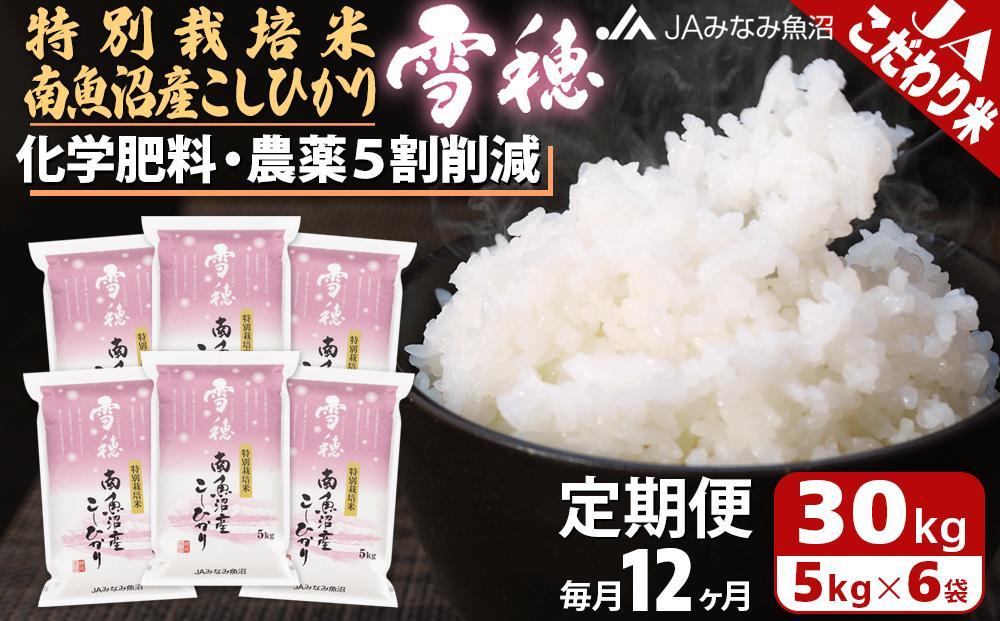 【JAみなみ魚沼定期便】特別栽培米南魚沼産こしひかり「雪穂」（30kg×全12回） ≪精米 農薬5割削減 精米HACCP認定工場 特A獲得日本一産地 高品質精米 もっちり甘い 南魚沼産コシヒカリ 定期便 コシヒカリ こしひかり 精米 銘柄米≫